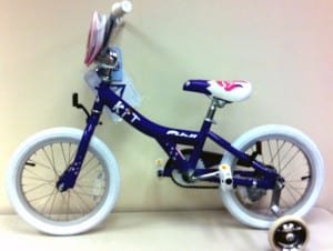 tour de book bike 2 WEB