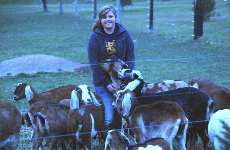 11-16-2014-Kirby Frankart-Kunkle-T.J (14) WEB