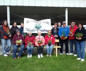 Master Gardener Plant Sale WEB
