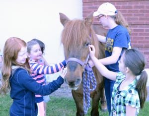 FFA Elementary Day NC (TJ) USE (2) WEB