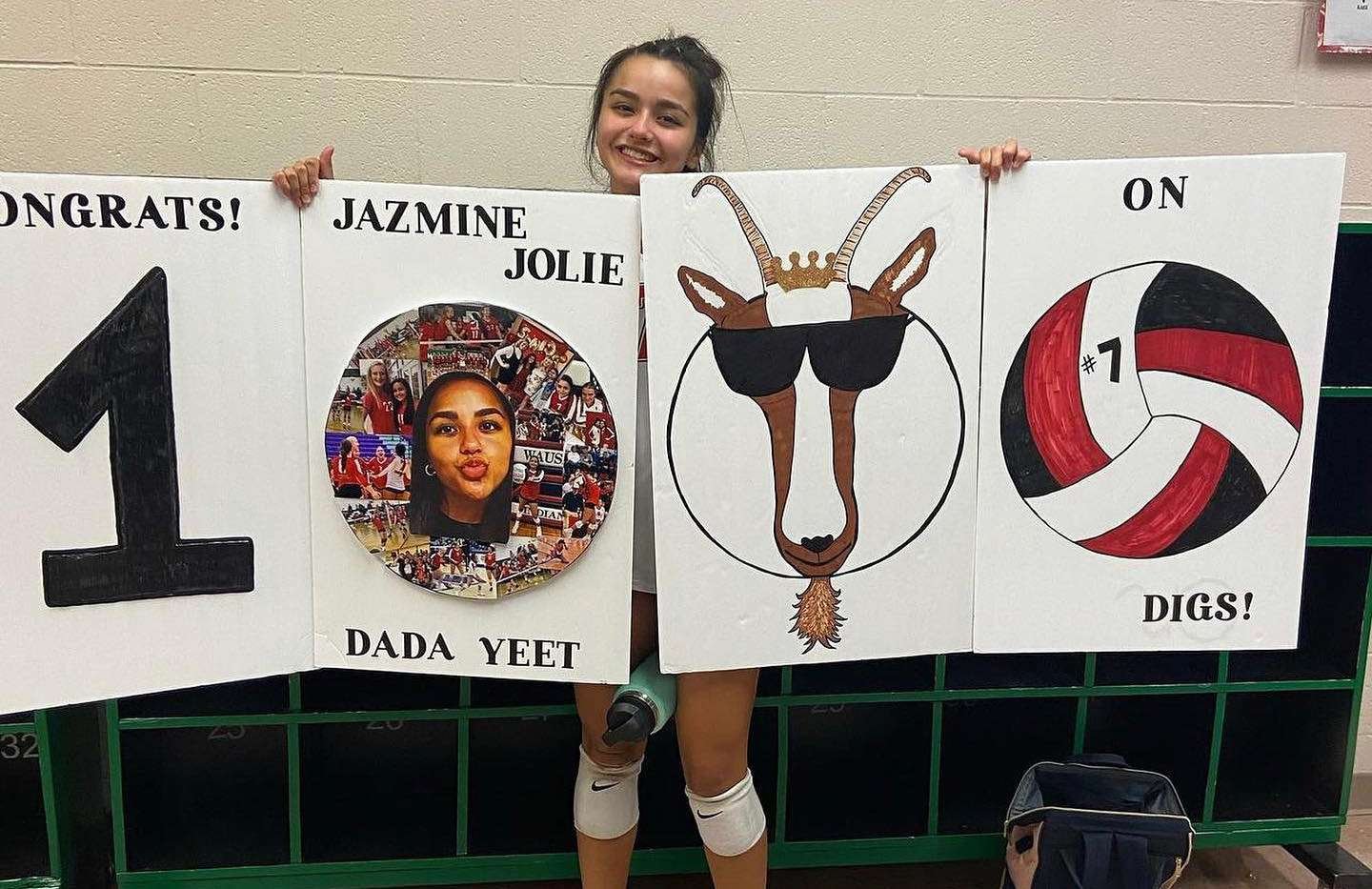 volleyball poster ideas senior night