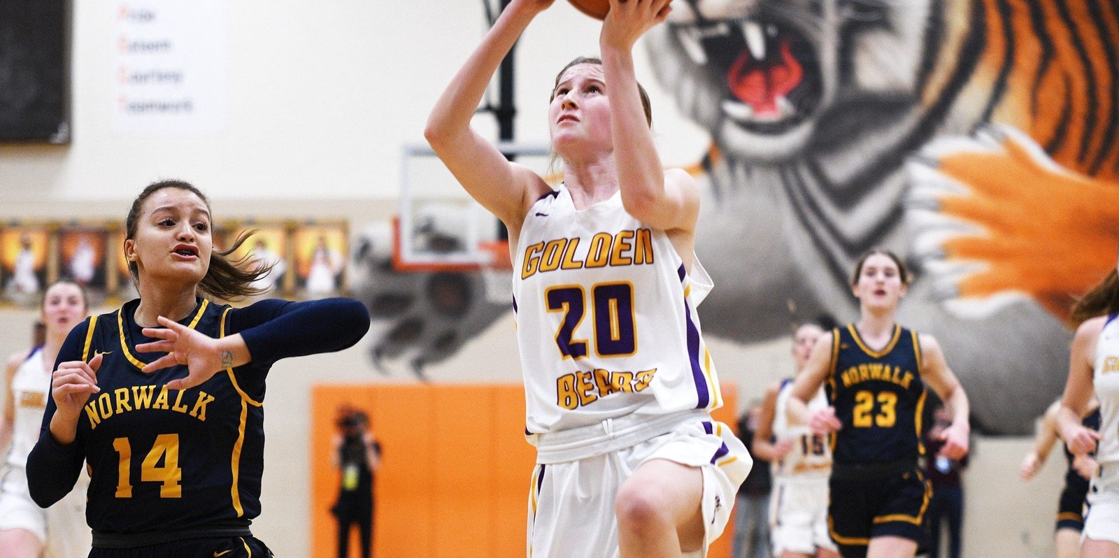 Bryan vs. Norwalk Girls Basketball Regional Final