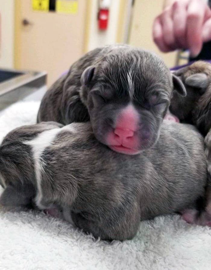 1-3-24-Babies - The Village Reporter