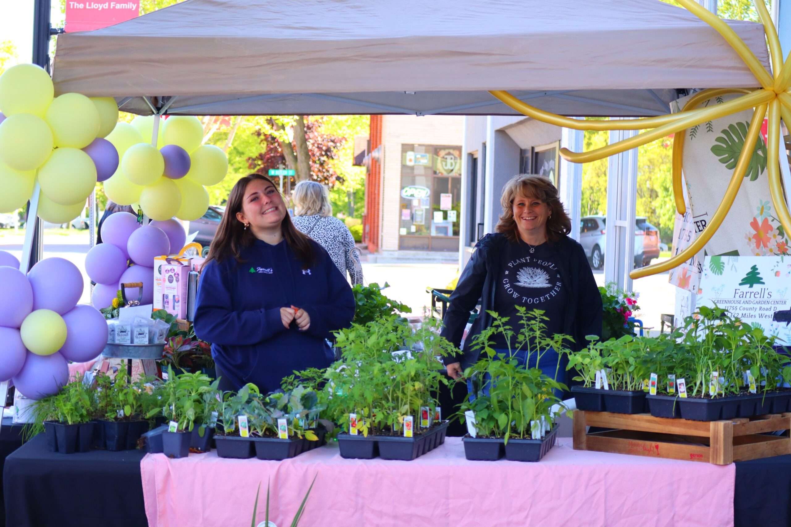 Two women stand under a tent draped with yellow and purple balloons surrounded by vegetable seedlings at Farrell's Lawn and Garden during the Bryan Chocolate Walk.