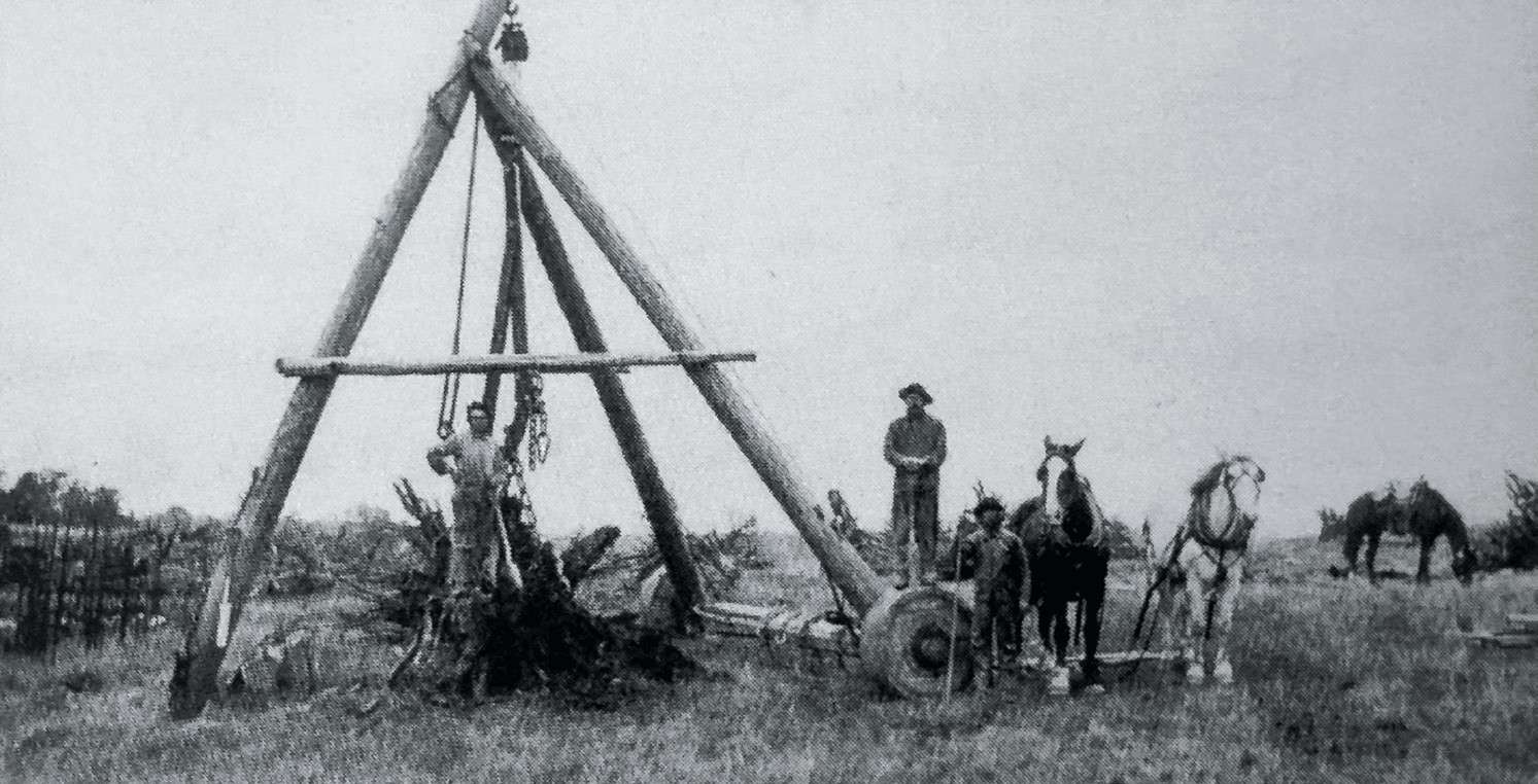 Tree stump removal near Metamora, Ohio, in 1900 using a horse-powered derrick.