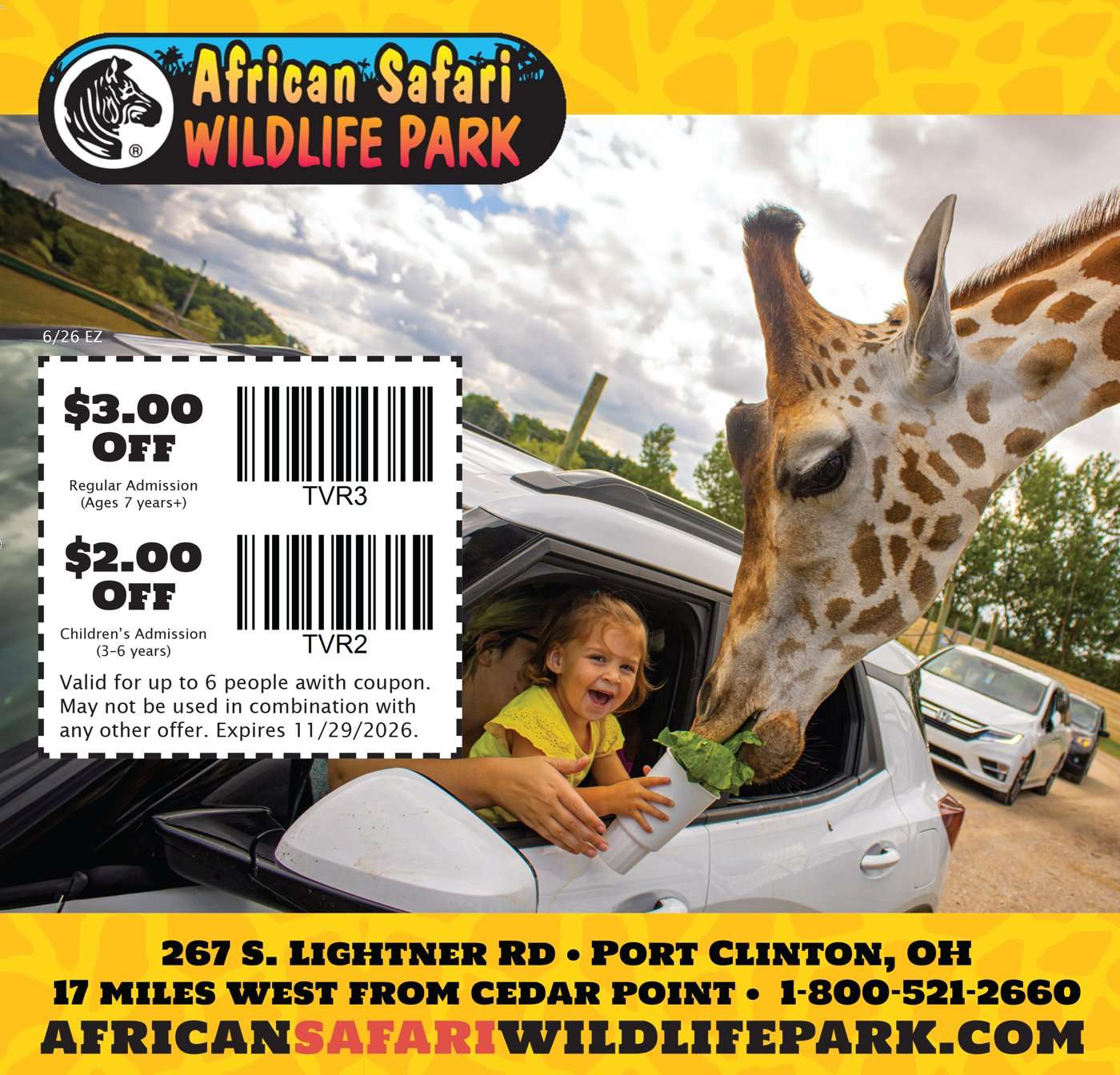African Safari Wildlife