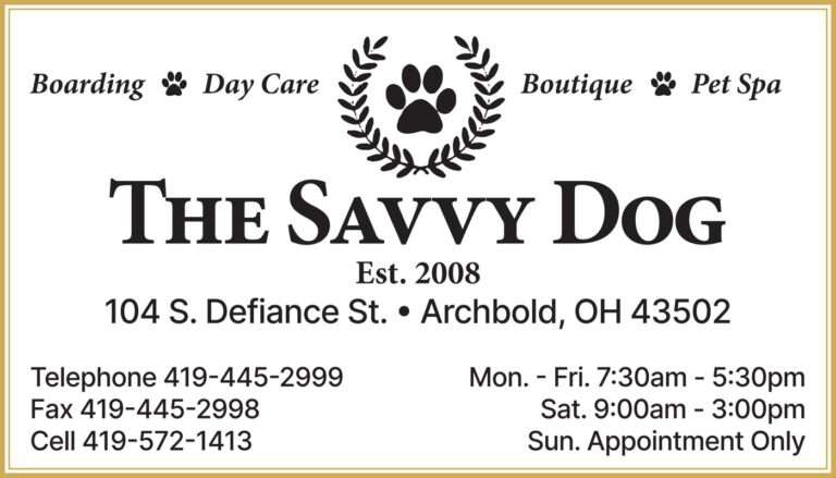 Savvy Dog