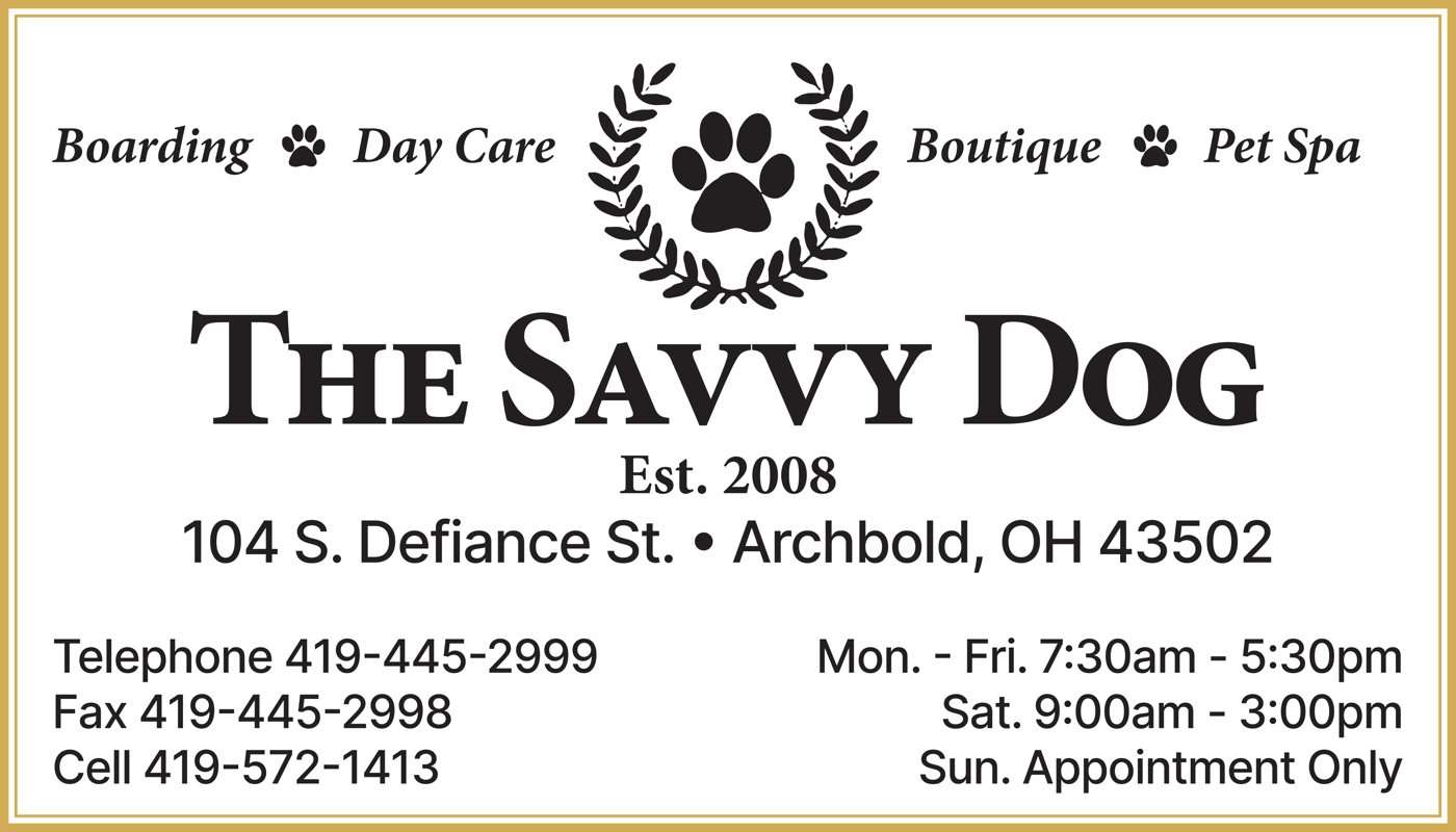 Savvy Dog