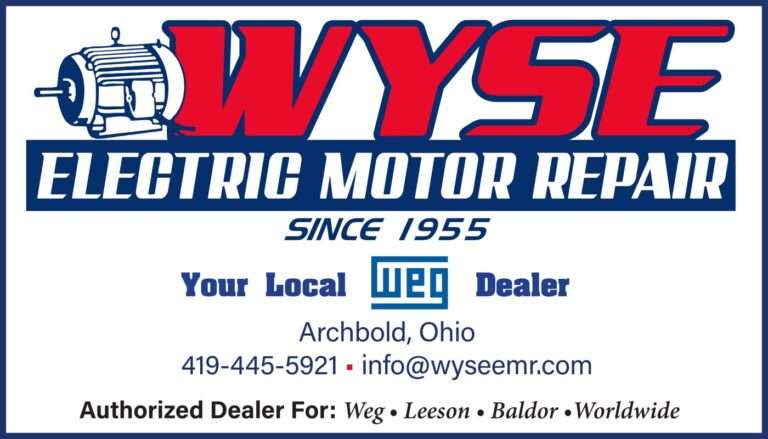Wyse Electric Motor