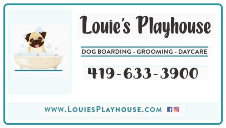 Louies Playhouse