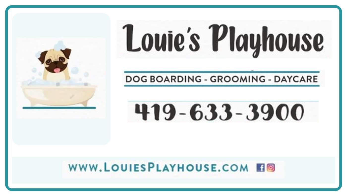 Louies Playhouse