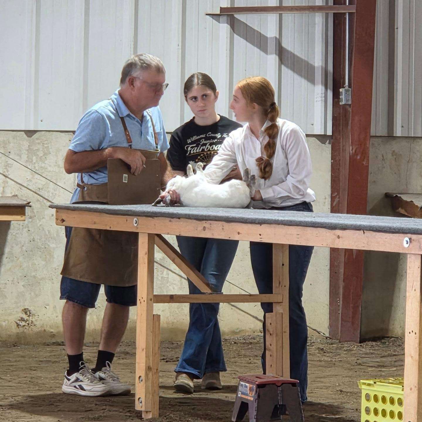 Addi Smith showing her market rabbit