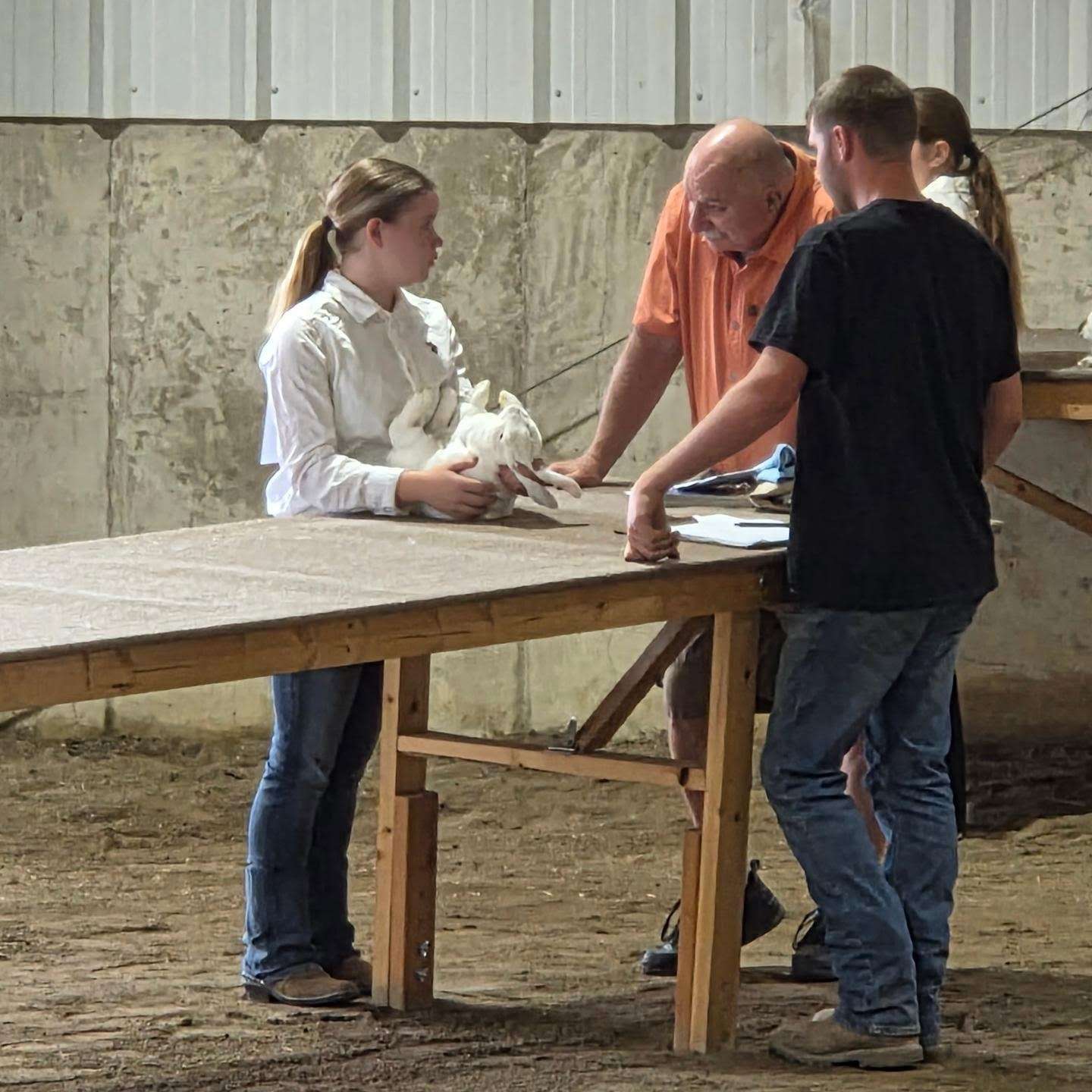 Avery Thompson showing her market rabbit