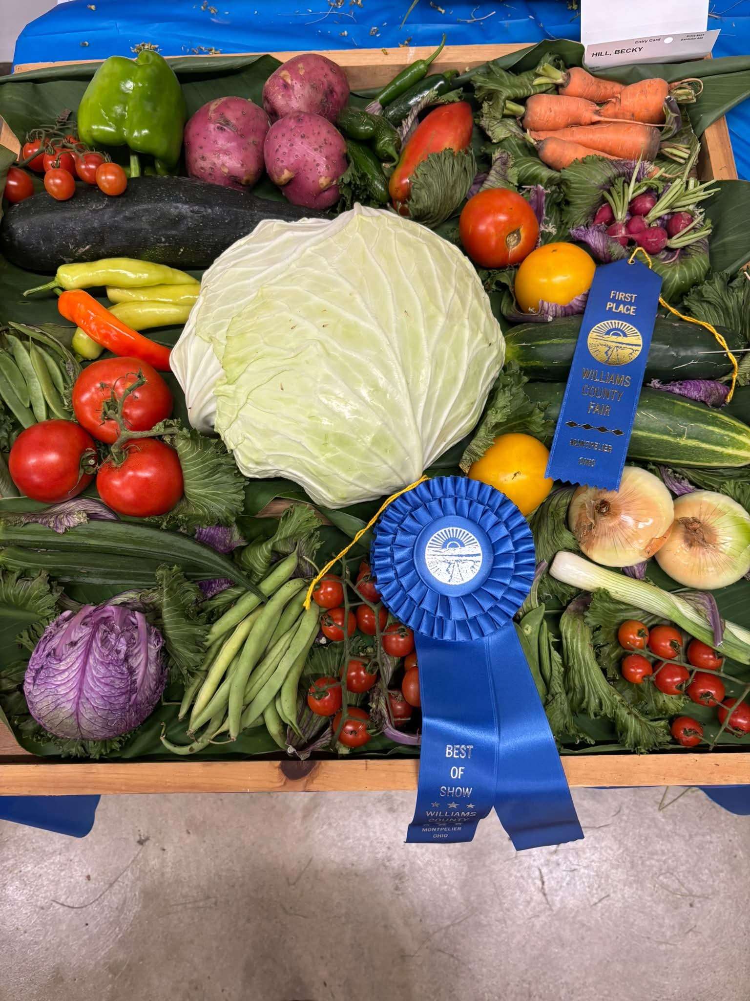 Becky Hill's Best of Show vegetable display at the 2026 Williams County Fair
