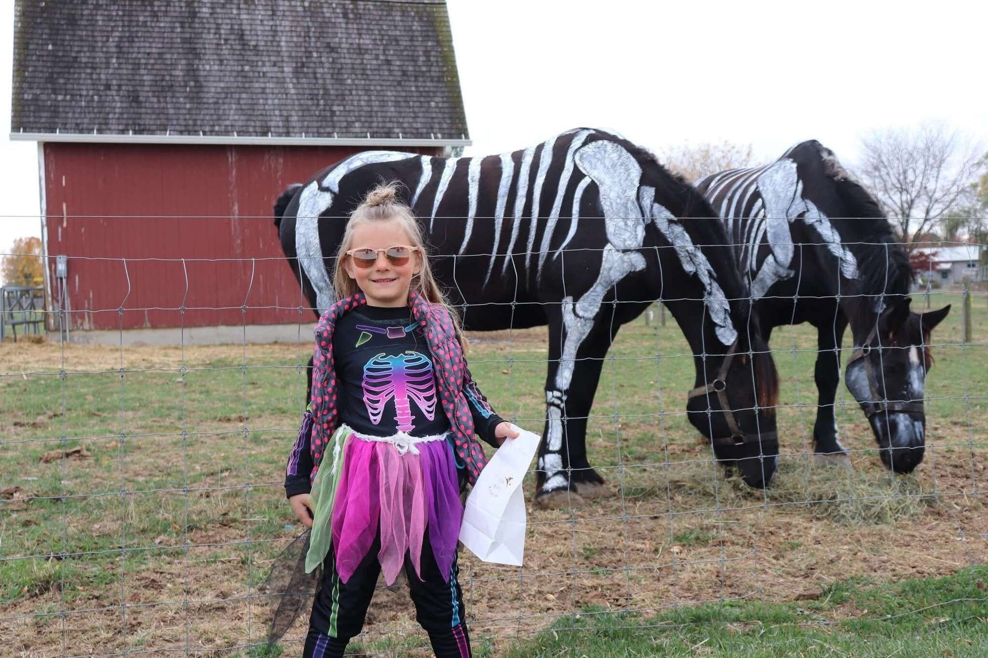 Child in a skeleton costume stands in front of two horses painted as skeletons at Sauder Village
