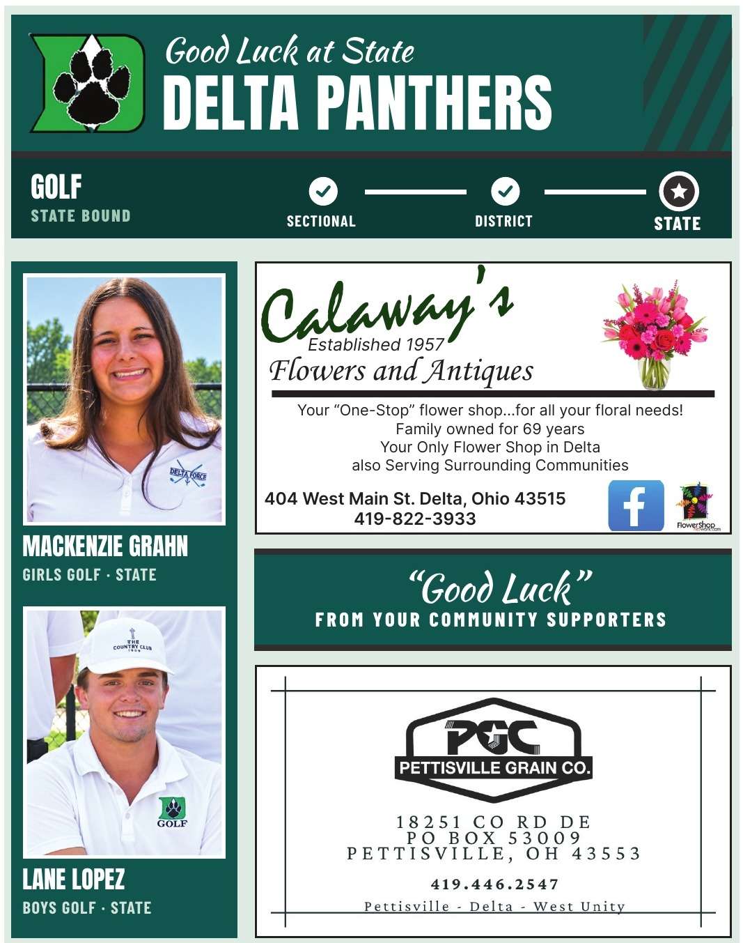 Good Luck at State: Delta Panthers Golf - The Village Reporter Good Luck page