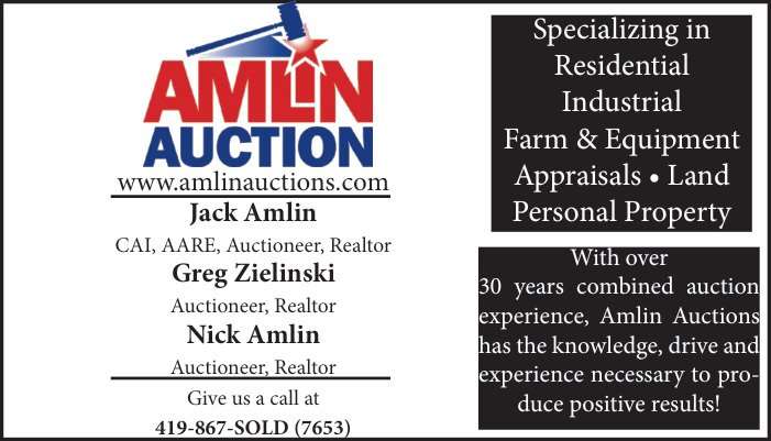 Amlin Auction