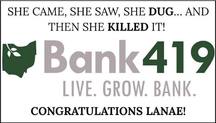 Bank419